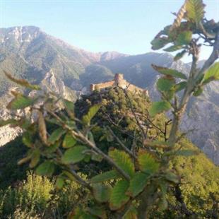 سوادکوه